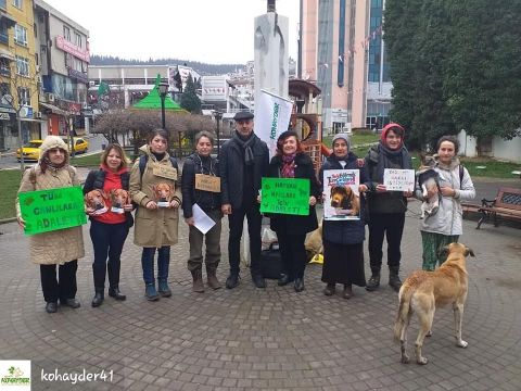 HAYVANLARA ADALET YÜRÜYÜŞÜ