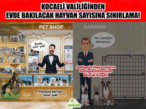 Kocaeli Valiliği’nden Hayvan Sahiplenmeye Sınırlama: Petshoplardan Alınan Hayvanlara İse Serbestlik